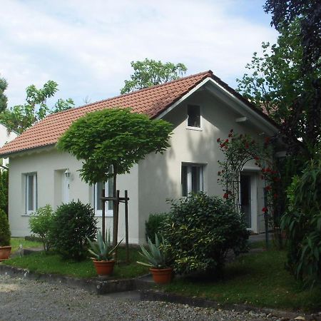 Villa Maja Markdorf Εξωτερικό φωτογραφία
