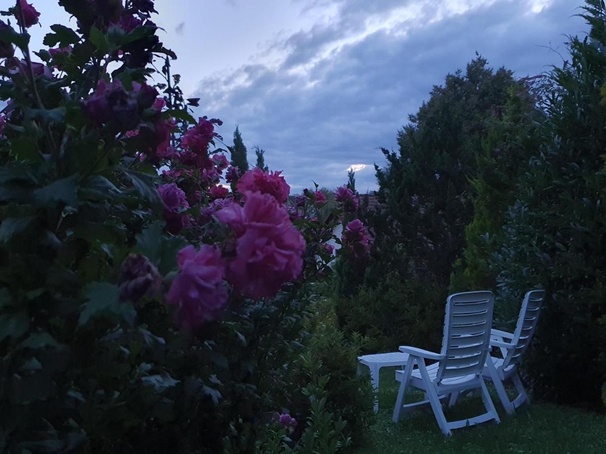 Villa Maja Markdorf Εξωτερικό φωτογραφία